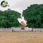 Cerita Unik di Balik Beringin Kembar Alun-Alun Jogja!