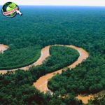 Sungai Amazon Asal Usul dan Legenda Menggetarkan Dunia