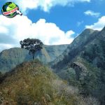 Asal Usul Gunung Sanggar Misteri di Balik Keindahannya!
