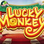 Link Login Slot Gacor Lucky Monkey di Cnnslot Raih Jackpot!