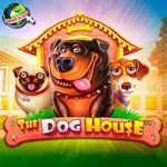 Masuk The Dog House, Keluar Cuan! Link Slot Gacor Terbaik