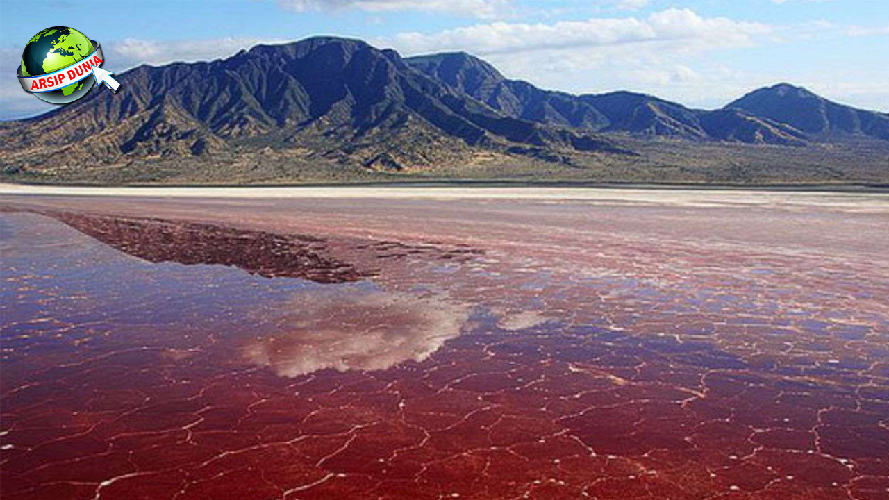 Danau Natron Tanzania: Pesona Mistis di Balik Keseraman!