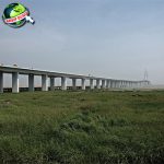 Jembatan Hangzhou Bay, Dari Ide Hingga Menyentuh Langit!