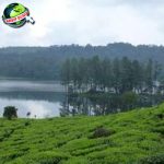 Misteri Danau Patenggang: Cerita Lama yang Masih Hidup!