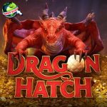CNNSLOT Dragon Hatch 3 Jurus Misteri Taklukkan Naga!