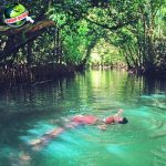 Eksplorasi Keajaiban 4 Pantai Amazon yang Memikat