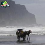 Asal Usul Pantai Selatan 7 Kisah Legenda yang Terkenal