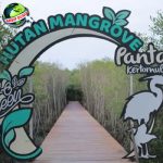 Pantai Kertomulyo Destinasi2 Liburan Seru dan Tenang