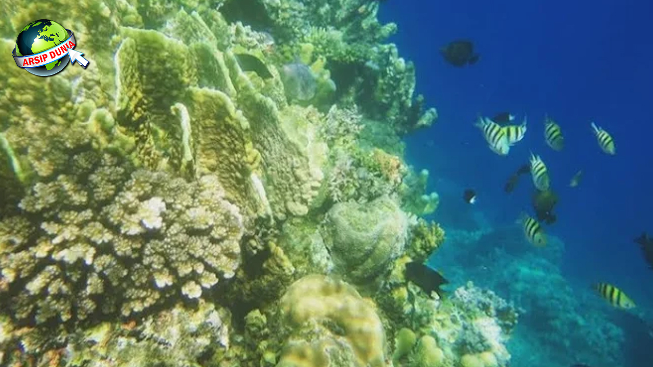 Pantai Oluhuta 4 Pasir Putih Laut Biru Surga Cantik