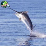 Ikan Marlin, Dari Lautan ke Tugu 7 Ikonik Cantik