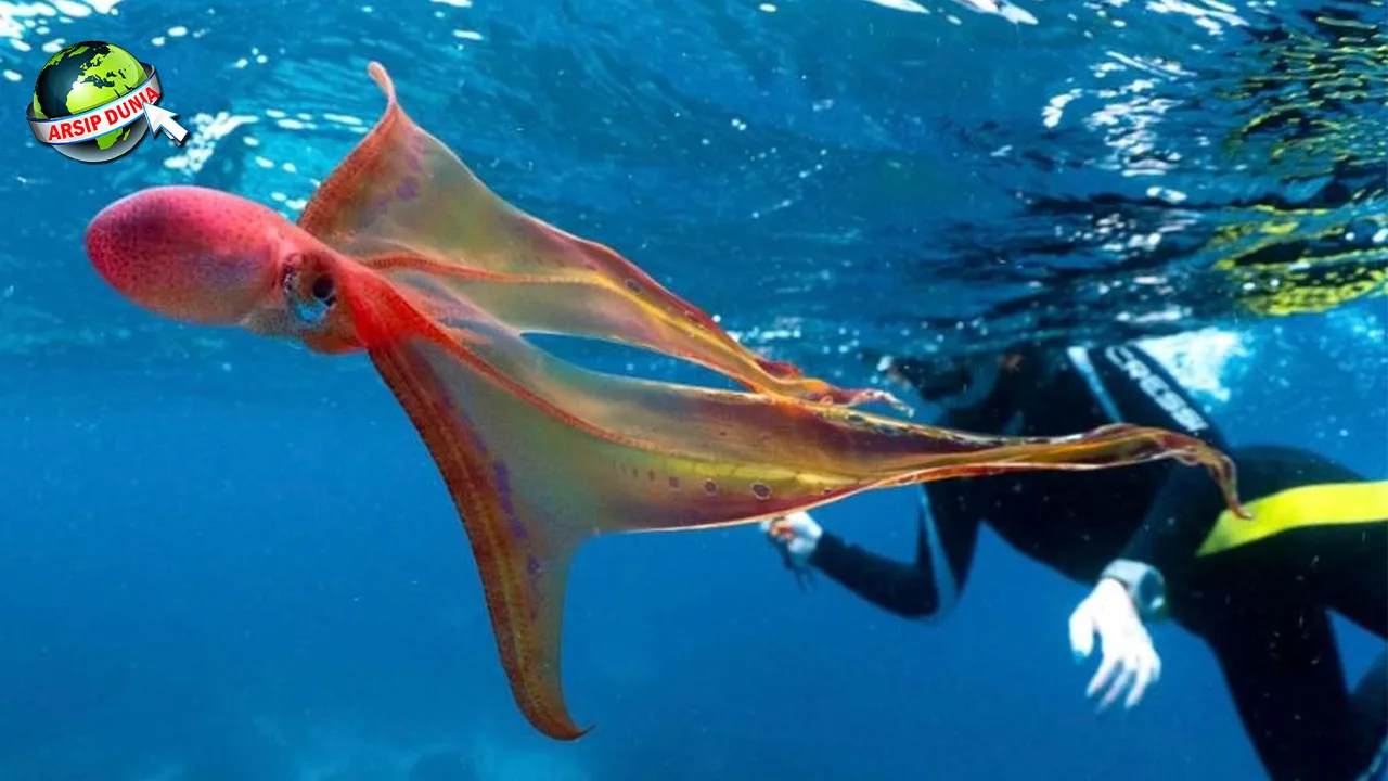 10 Peristiwa Penting dalam Sejarah Gurita