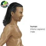 Homo Sapiens Kisah Perjalanan Panjang 300 Tahun!