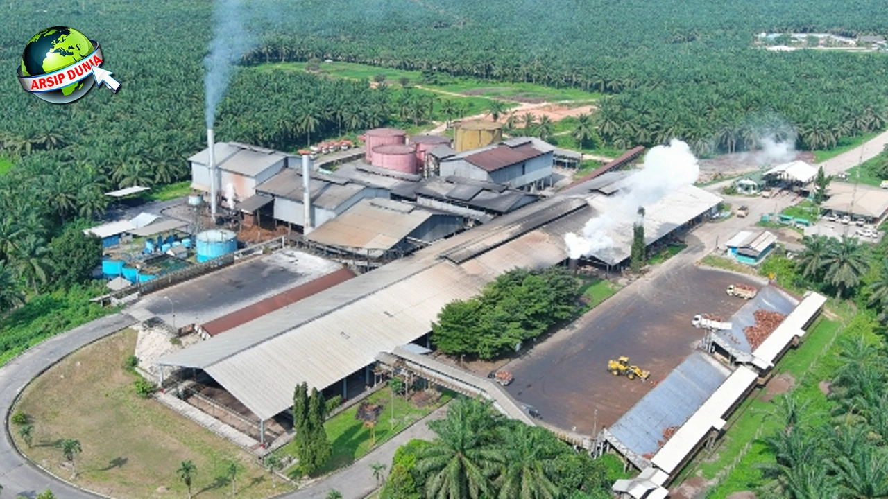 REA Kaltim Plantations: Kisah 3 Sukses dari Kalimantan