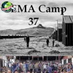 FEMA Camps Dari 12 Teori Konspirasi Hingga Fakta Baru