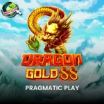 Kesalahan Umum Dragon Gold 88 Balik Pengembangan