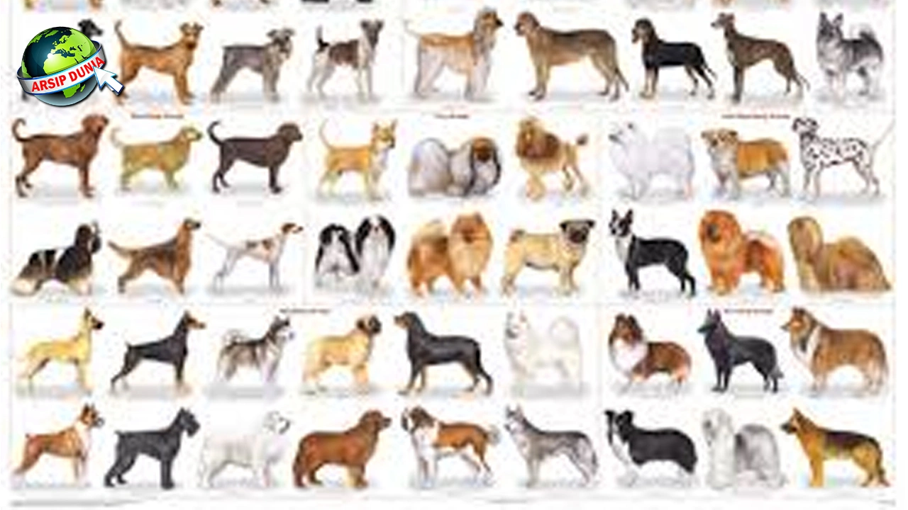 Anjing dalam Sejarah, Dari 3 Pemburu ke Penjaga