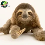 Kisah Kukang: Dari 7 Primata Langka Hingga Ikon Budaya