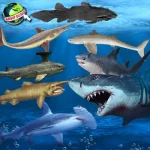 Ikan Hiu: 1 Predator Laut yang Bertahan Hidup